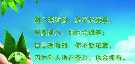 不信命运的人后来怎么样了（25个唯美短句，引领你走出迷茫）