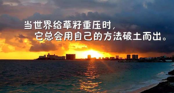 不信命运的人后来怎么样了（25个唯美短句，引领你走出迷茫）