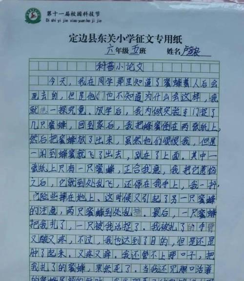 学校科技节活动作文怎么写（《科技节，让我们与未来联系在一起》）