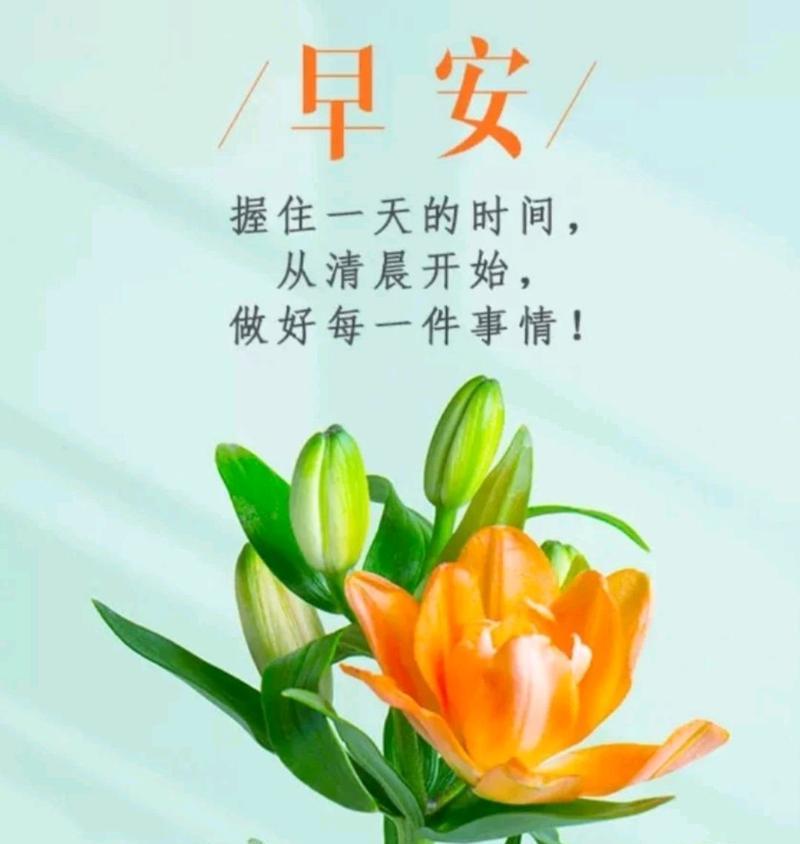 2024年第一天早安怎么发朋友圈（清晨的祝福）