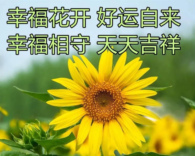 2024年第一天早安怎么发朋友圈（清晨的祝福）