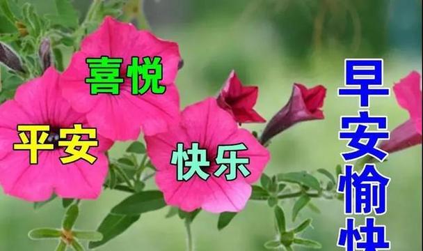 2024年小满节气具体时间（2023小满节气，唯美短句尽情绽放）