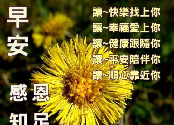 天气转凉的话怎么说（秋日温馨问候，与凉爽的气息相伴）