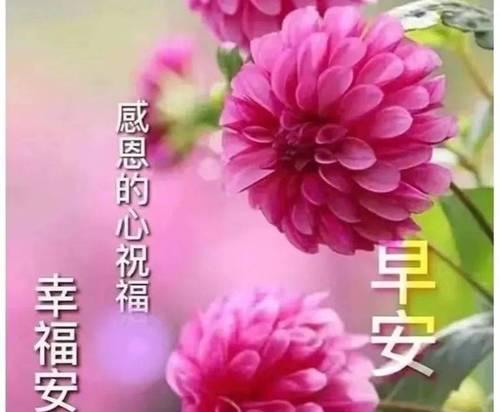天气转凉啦,怎么关心一个人啊?（花落时节，凉意逼人——2024年天气转凉）