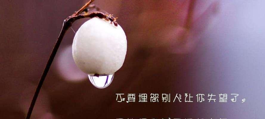 天气转凉的话怎么说（2024，等你来过的秋天）