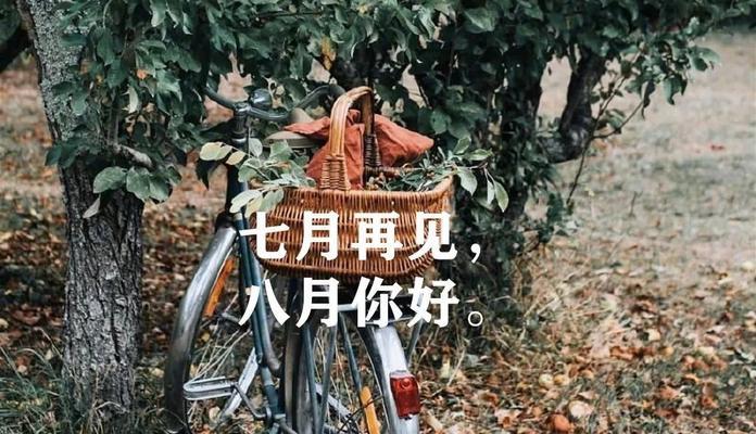 有关七月你好励志好句94条的句子怎么写（勇敢追逐梦想的七月）