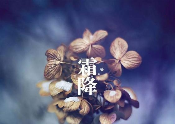 寒假朋友圈怎么发（梦回2024，寒假里的唯美时光）