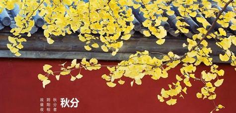 秋分的朋友圈怎么发（感受秋天的温暖）