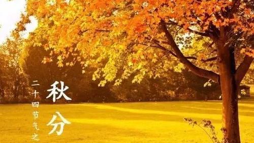 秋分朋友圈怎么发（《秋分祝福，唯美短句送上》）
