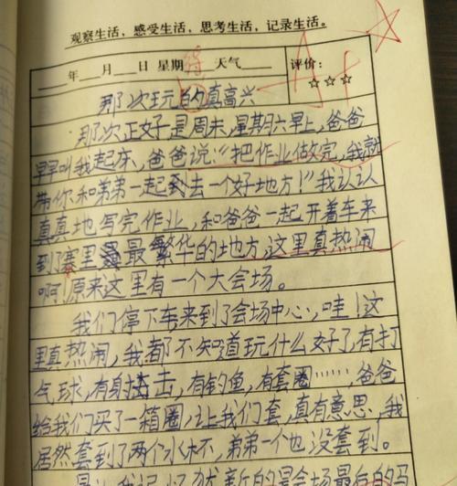 玩得真高兴这篇作文怎么写（《玩得真高兴》）