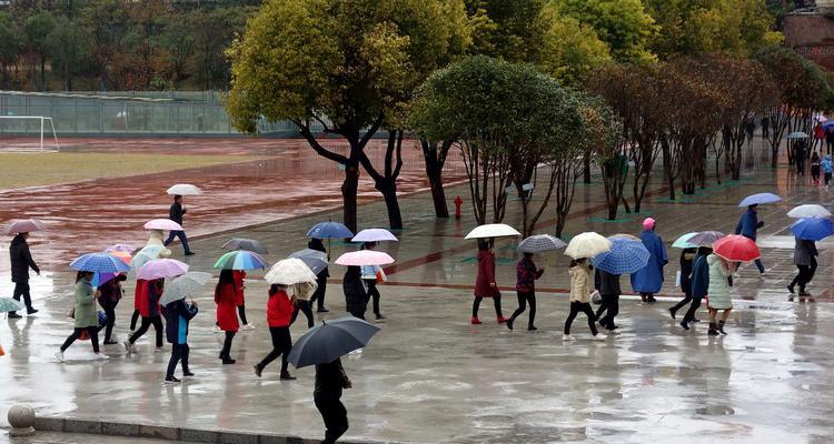 有关校园雨趣的作文怎么写（《校园雨趣：与雨同行的小故事》）