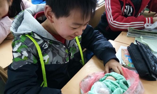 护蛋作文怎么写的400个字（《护蛋英雄》）