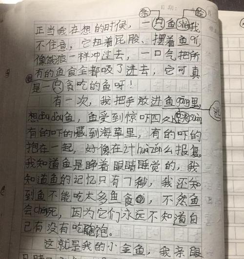 关于小金鱼的作文怎么写（《小金鱼的故事》）