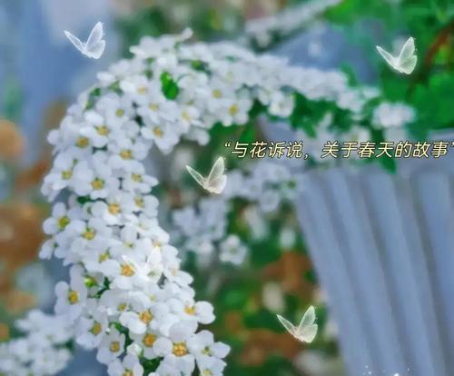 平平淡淡的生活怎么形容（平淡生活中的唯美）
