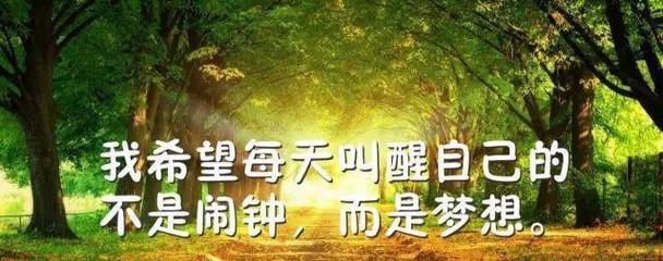 支持和鼓励的话语怎么说（唯美支持与鼓励）