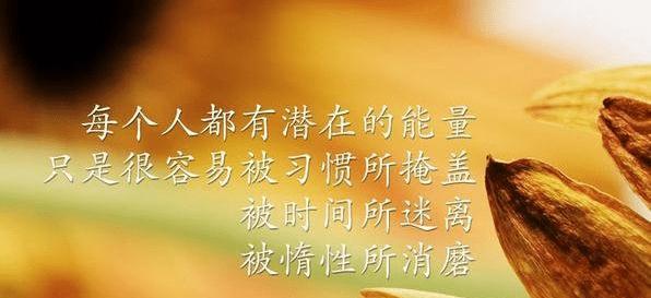 做错事的感悟怎么写（错失美好，留下感悟）