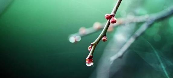 心境豁达恬淡是什么意思（以心境豁达恬淡，尽享人生乐趣）