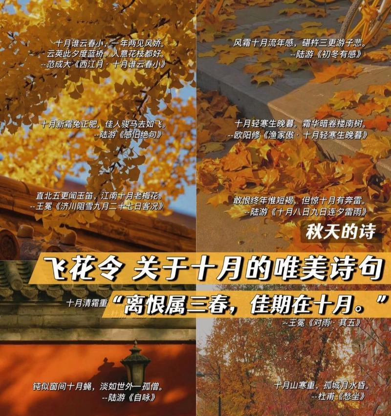 飞花令风100首（飘飘落英——一百句唯美诗句）
