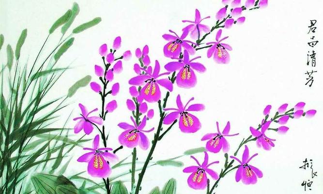 写兰花的优雅诗词（《兰花高洁淡雅》）