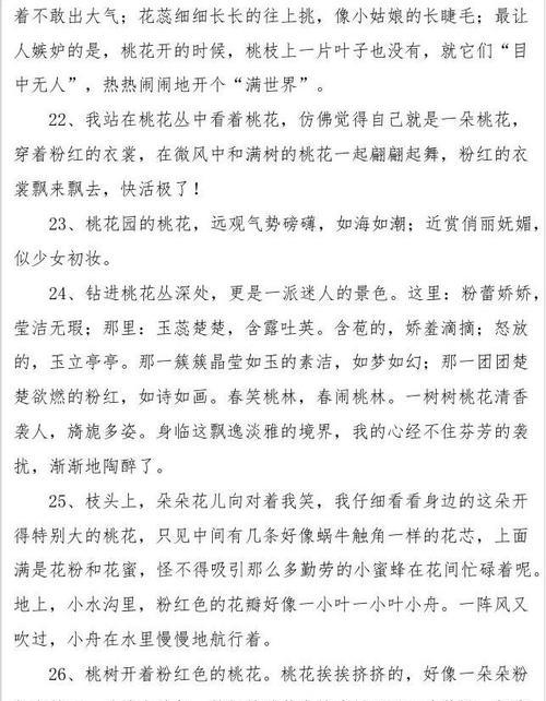带桃花的诗句有什么（春风吹拂，花开人间）