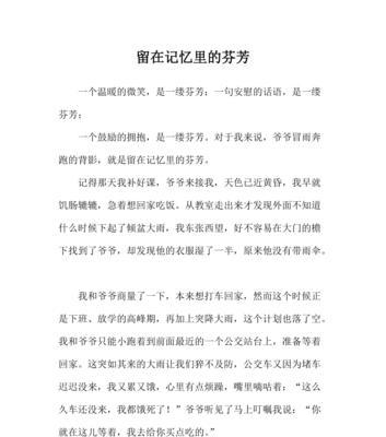 美丽的记忆是什么意思（《一场心灵的旅程》）