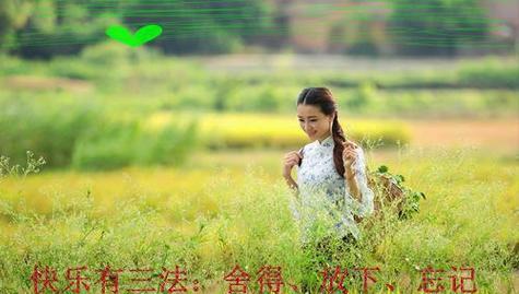 坚定的目光是什么意思（《坚定的目光》）