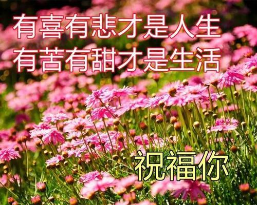 有关早上问候语怎么发朋友圈的好句子（早安问候，让每一天都灿烂）