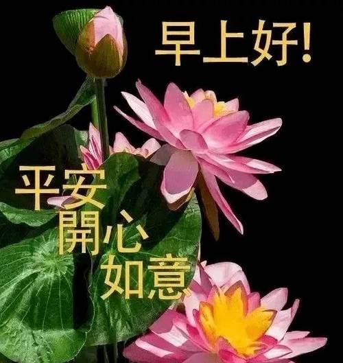 有关早上问候语怎么发朋友圈的好句子（早安问候，让每一天都灿烂）