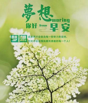 早安的朋友圈怎么发?（唤醒美好的一天——如何以早安发朋友圈吸引人）