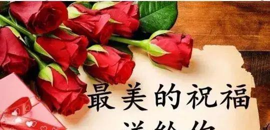 六月你好文案怎么写（六月你好：寻找美丽与温柔的季节）