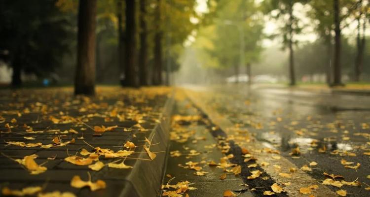 一场秋雨一场凉发朋友圈是什么意思（以一场秋雨为笔，写下唯美与伤感）