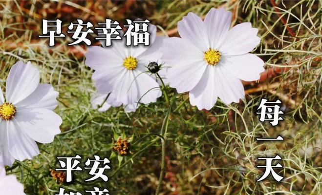 幸福的心情怎么形容（幸福心情，如诗如画）