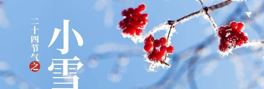 形容小雪节气特点的短句（枯木逢春，冰雪融化）