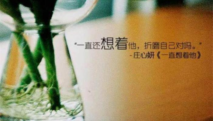 关于心情的好词好句好段怎么写（心情舒畅的美丽世界）