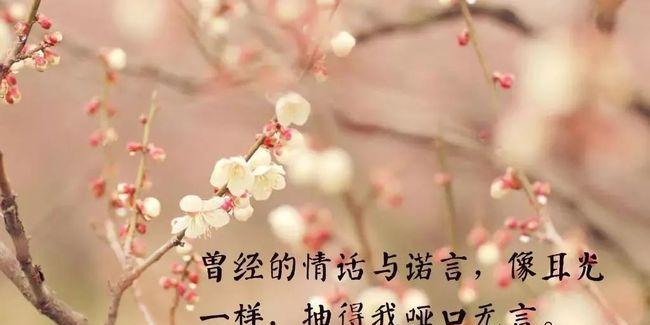 关于心情的好词好句好段怎么写（用唯美句子传递快乐和幸福）
