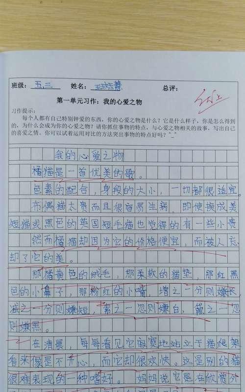以我的心爱之物为话题的作文怎么写（《2024，爱的承诺》）