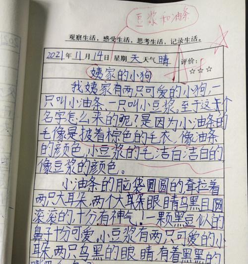 以缤纷多彩的世界为话题的作文怎么写（《缤纷多彩的世界》）
