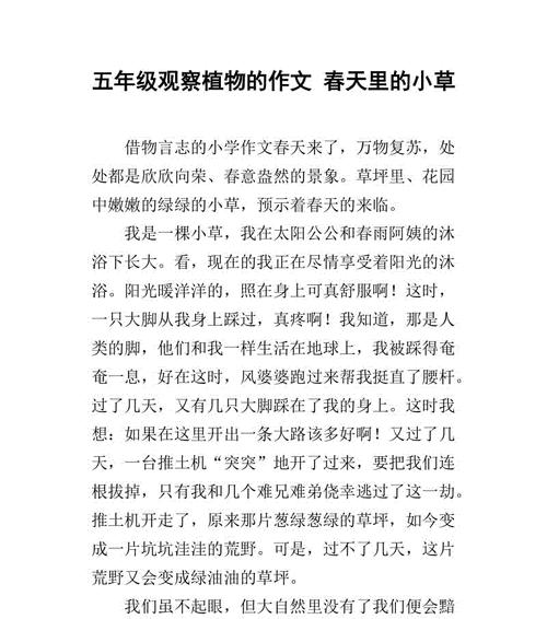 以我在春天里成长为话题的作文怎么写（《青春是一场美丽的旅行》）