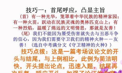 有关点燃成功的火种的作文题目（《点燃梦想的火种》）