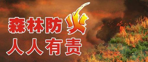 秋冬季节森林防火教育（秋冬季森林消防安全标语口号）
