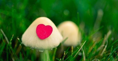牵挂的句子怎么写短句（唯美短句赏析）