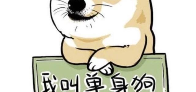 七夕情人节单身狗怎么发朋友圈说说（在这个浪漫的七夕，单身狗们的内心世界）