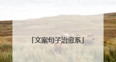 2024年下雪怎么发朋友圈（雪落纷飞）