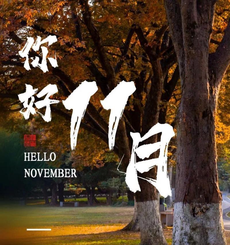 2024年新年第一天怎么发圈（2023新年第一天，让我们用唯美短句留下回忆）