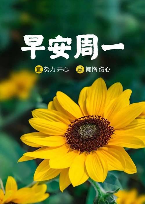 2024年新年第一天怎么发圈（迎接2023，用正能量的短句迈向美好未来）