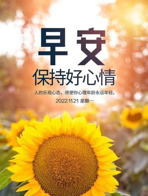 2024年新年第一天怎么发圈（迎接2023，用正能量的短句迈向美好未来）