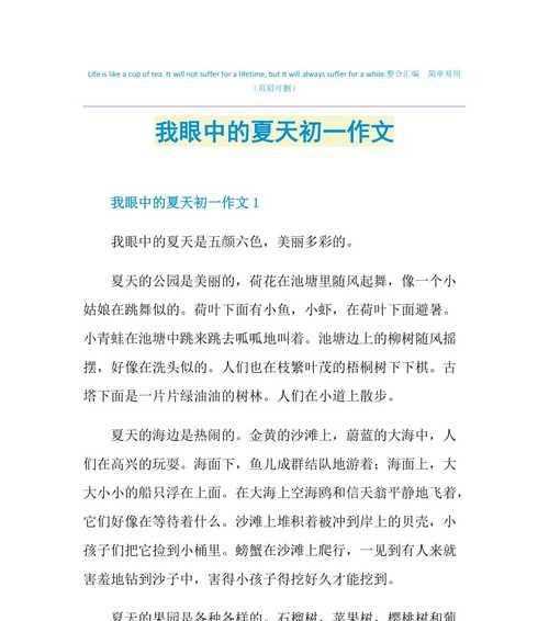作文以夏天为主怎么写（《2024年的夏天》）