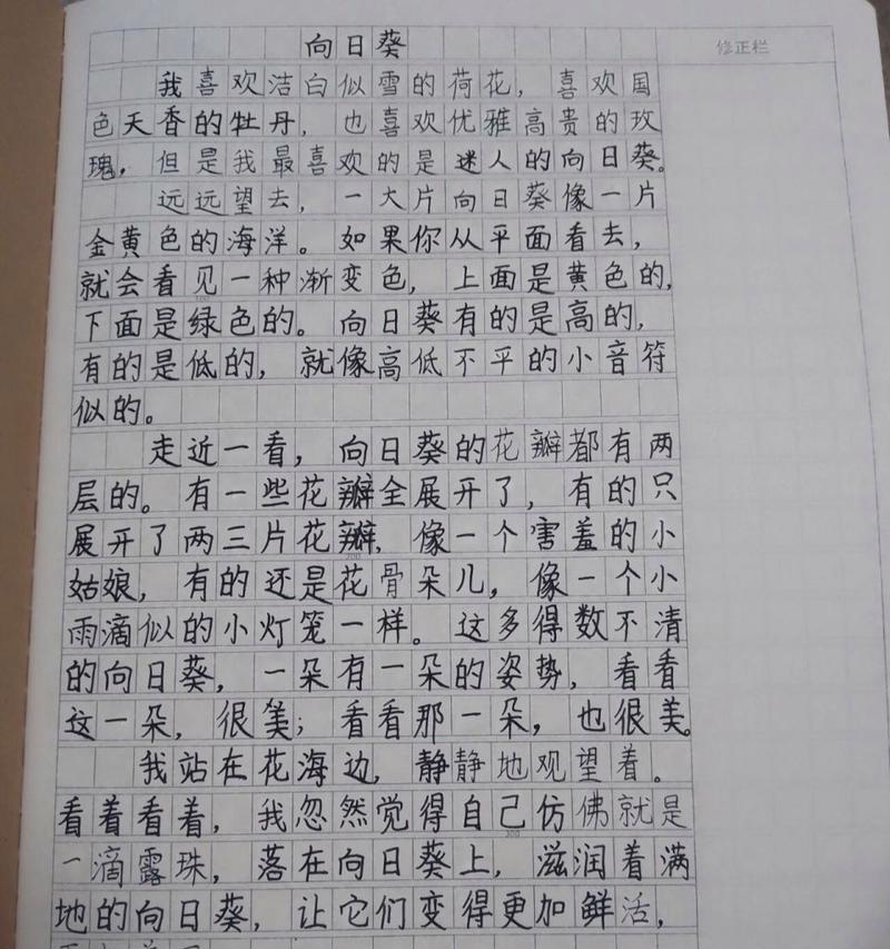 关于写向日葵花的作文（《向日葵的微笑》）