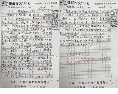 我的挑战怎么写20字（《无畏前行——面对挑战的人生》）