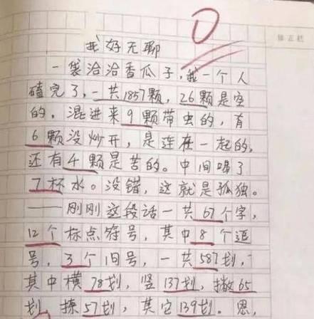 以这里也有乐趣为话题的作文怎么写（《这里也有乐趣》）